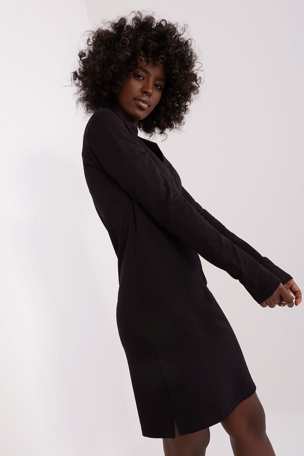 Collared V-Neck Long Sleeve Day Dress - Black